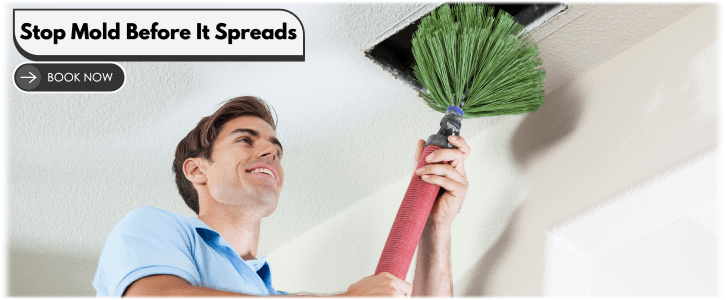 Air Duct Mold Removal in Alexandria