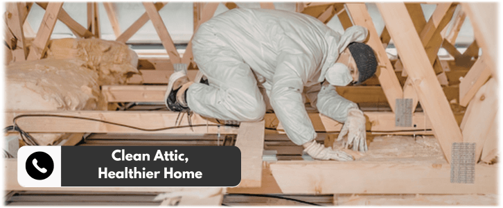 Attic Cleaning Alexandria