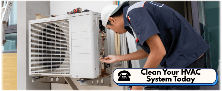 HVAC Mold Removal Alexandria